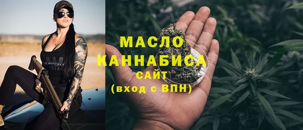 гашик Верея