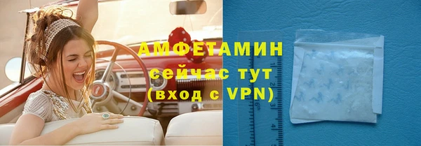 мдпв Бородино