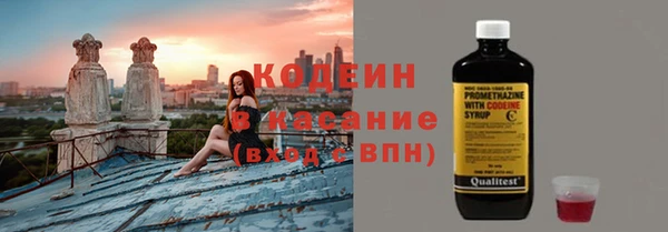 гидра Верхний Тагил