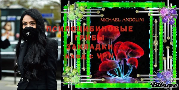 мдпв Бородино