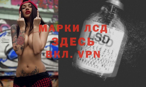 гашик Верея