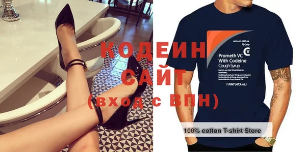 мдпв Бородино
