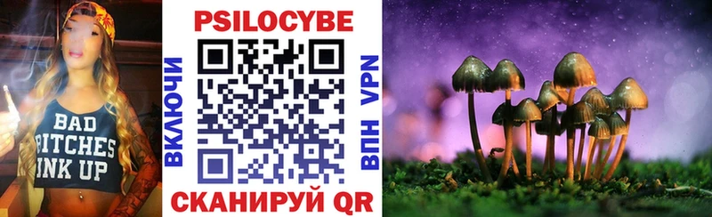 Псилоцибиновые грибы Psilocybe  цены   Керчь 